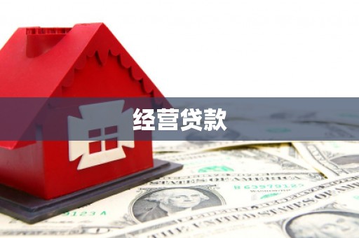 闻喜经营贷款
