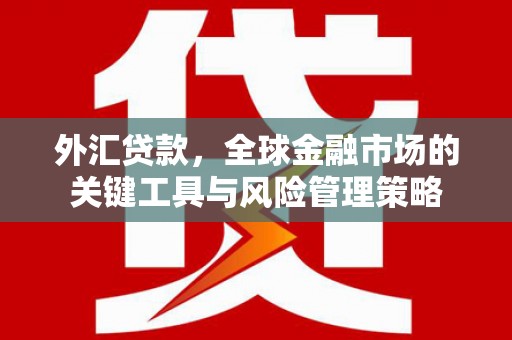 闻喜外汇贷款，全球金融市场的关键工具与风险管理策略