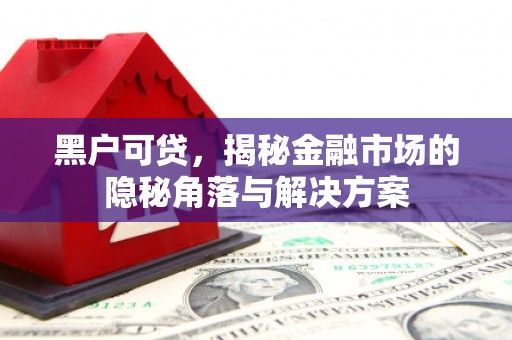 闻喜黑户可贷，揭秘金融市场的隐秘角落与解决方案