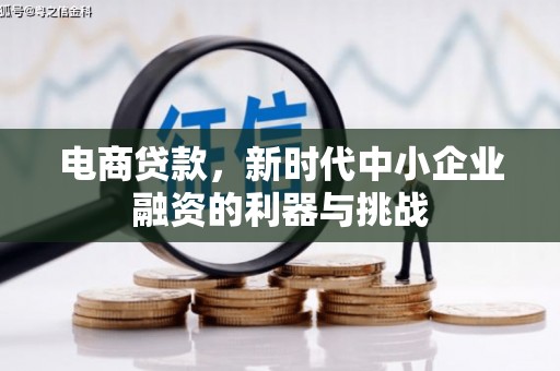 闻喜电商贷款，新时代中小企业融资的利器与挑战