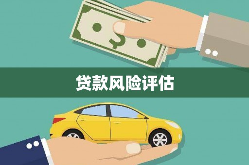 闻喜贷款风险评估