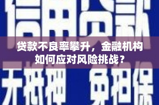 闻喜贷款不良率攀升，金融机构如何应对风险挑战？