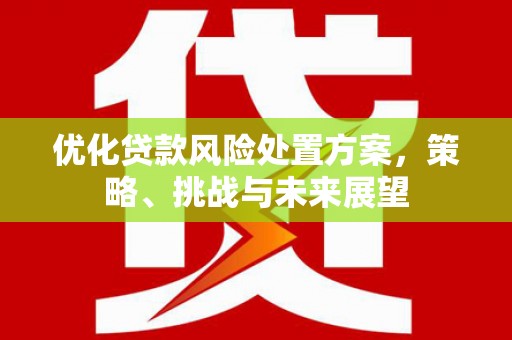 闻喜优化贷款风险处置方案，策略、挑战与未来展望
