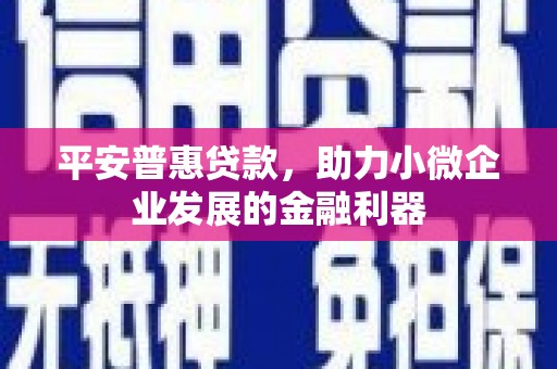 闻喜平安普惠贷款，助力小微企业发展的金融利器