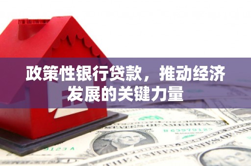 闻喜政策性银行贷款，推动经济发展的关键力量