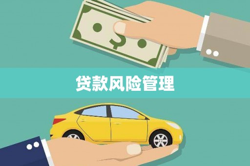 闻喜贷款风险管理