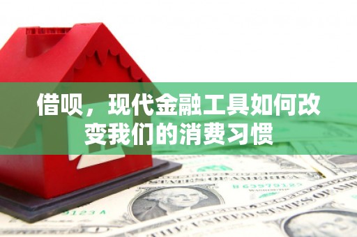 闻喜借呗，现代金融工具如何改变我们的消费习惯
