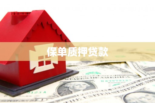 闻喜保单质押贷款
