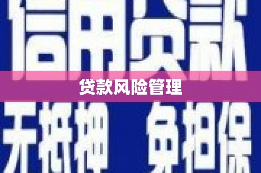 闻喜贷款风险管理