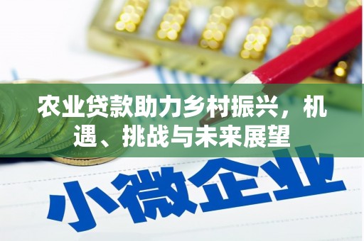 闻喜农业贷款助力乡村振兴，机遇、挑战与未来展望
