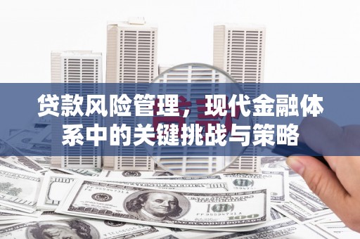 闻喜贷款风险管理，现代金融体系中的关键挑战与策略