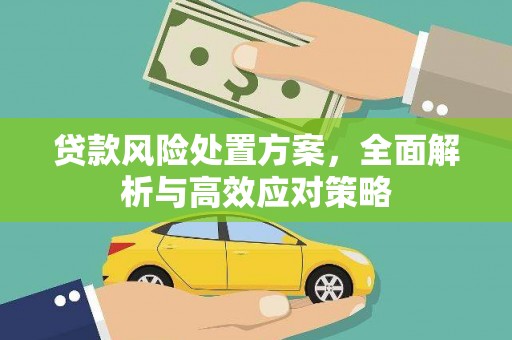 闻喜贷款风险处置方案，全面解析与高效应对策略