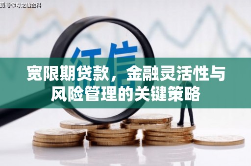 闻喜宽限期贷款，金融灵活性与风险管理的关键策略