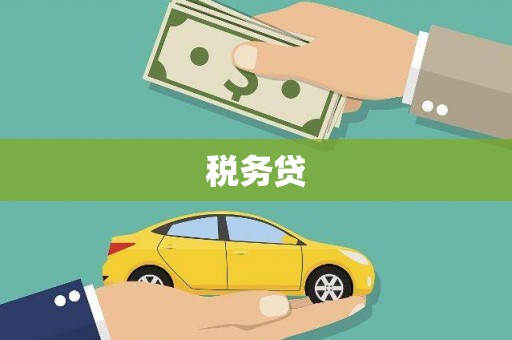 闻喜税务贷