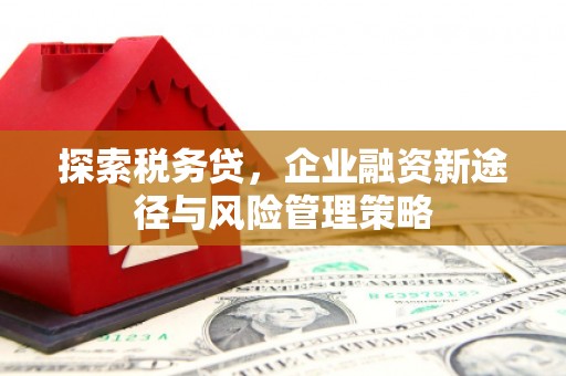 闻喜探索税务贷，企业融资新途径与风险管理策略