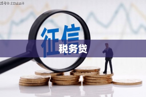 闻喜税务贷
