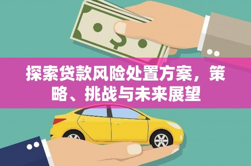 闻喜探索贷款风险处置方案，策略、挑战与未来展望