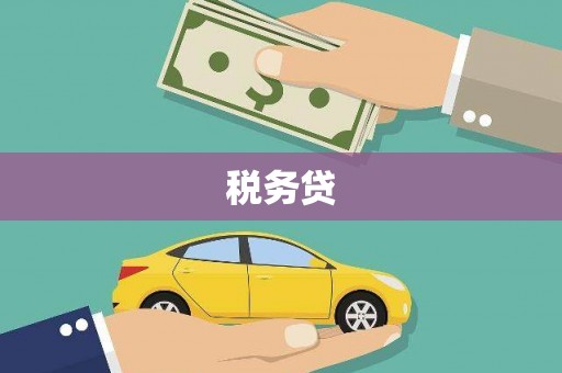 闻喜税务贷