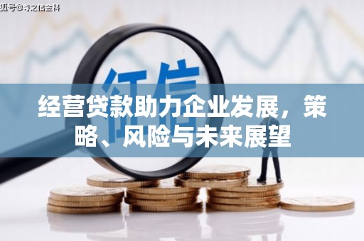 闻喜经营贷款助力企业发展，策略、风险与未来展望