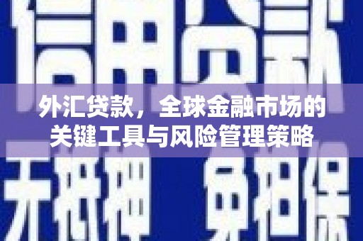 闻喜外汇贷款，全球金融市场的关键工具与风险管理策略