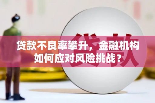 闻喜贷款不良率攀升，金融机构如何应对风险挑战？