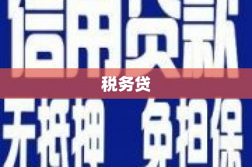 闻喜税务贷