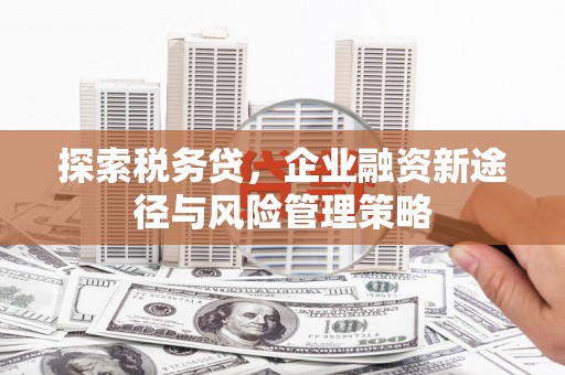 闻喜探索税务贷，企业融资新途径与风险管理策略
