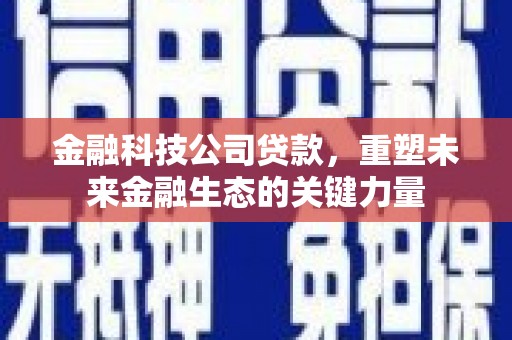 闻喜金融科技公司贷款，重塑未来金融生态的关键力量