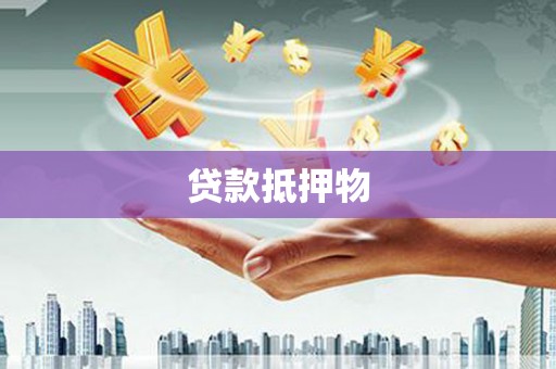 闻喜贷款抵押物