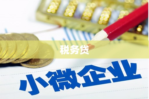 闻喜税务贷