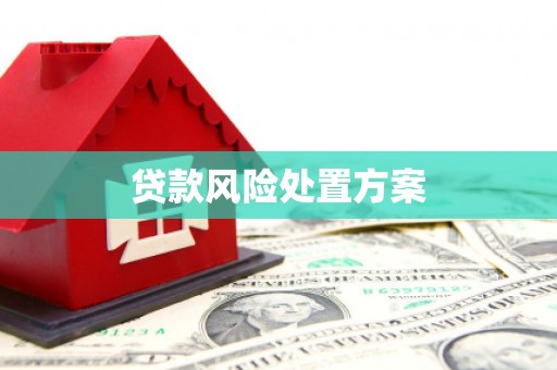 闻喜贷款风险处置方案