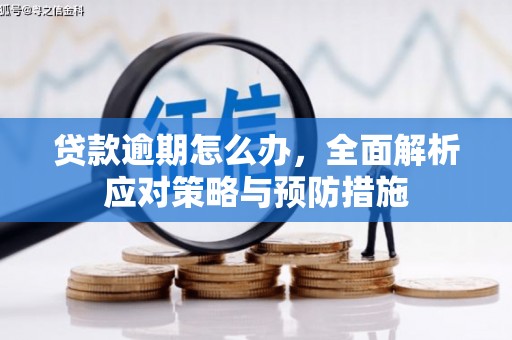 闻喜贷款逾期怎么办，全面解析应对策略与预防措施