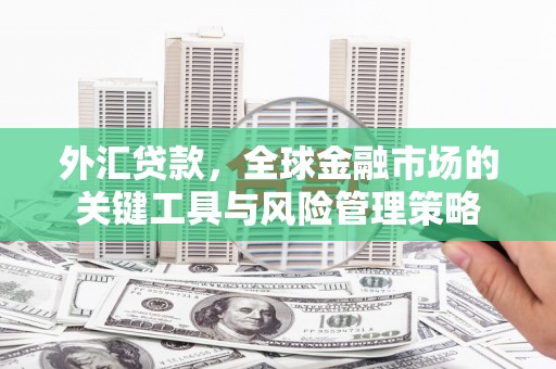 闻喜外汇贷款，全球金融市场的关键工具与风险管理策略