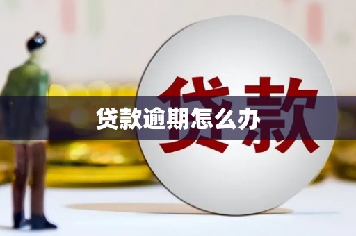 闻喜贷款逾期怎么办