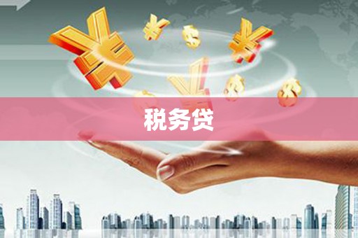 闻喜税务贷