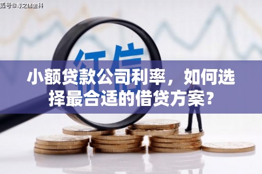 闻喜小额贷款公司利率，如何选择最合适的借贷方案？