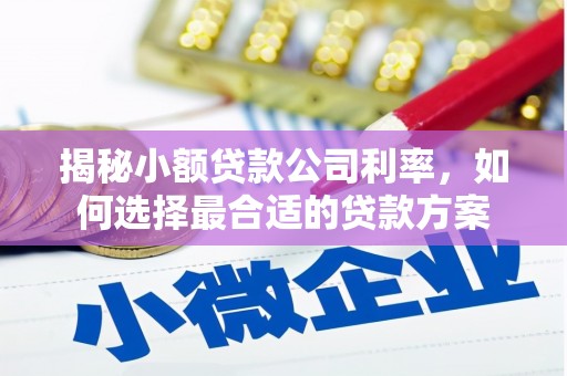 闻喜揭秘小额贷款公司利率，如何选择最合适的贷款方案