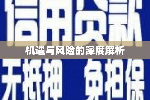 闻喜机遇与风险的深度解析