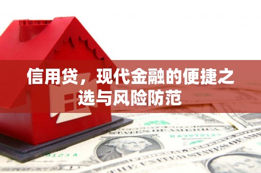 闻喜信用贷，现代金融的便捷之选与风险防范