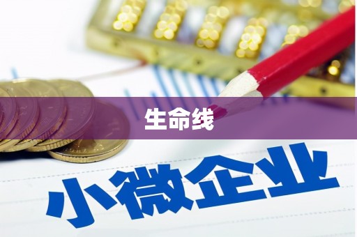 闻喜生命线
