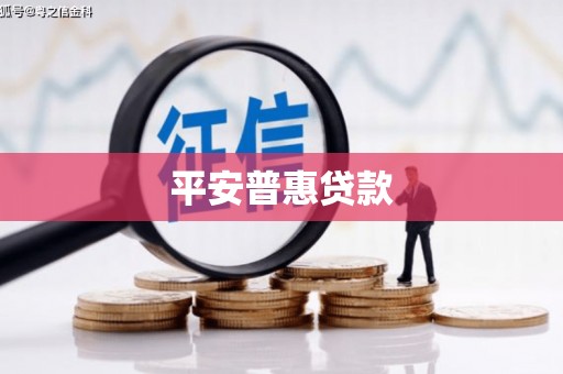 闻喜平安普惠贷款