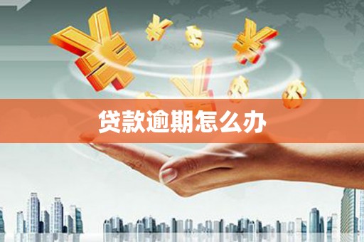 闻喜贷款逾期怎么办