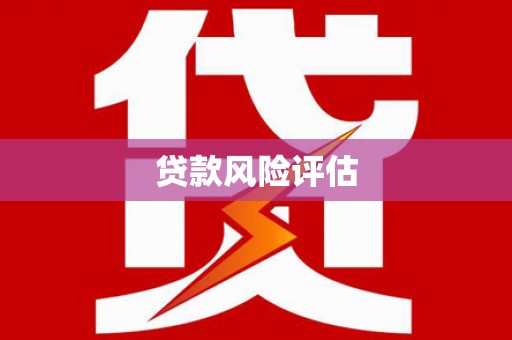 闻喜贷款风险评估