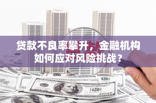 闻喜贷款不良率攀升，金融机构如何应对风险挑战？