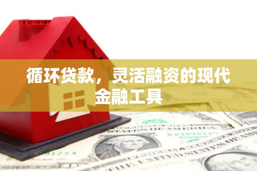 闻喜循环贷款，灵活融资的现代金融工具