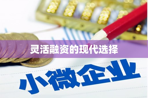闻喜灵活融资的现代选择