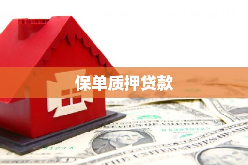 闻喜保单质押贷款