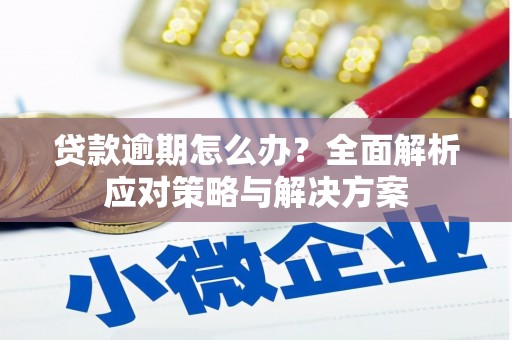 闻喜贷款逾期怎么办？全面解析应对策略与解决方案