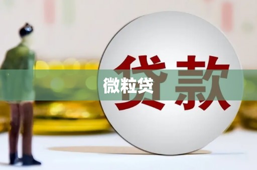 闻喜微粒贷