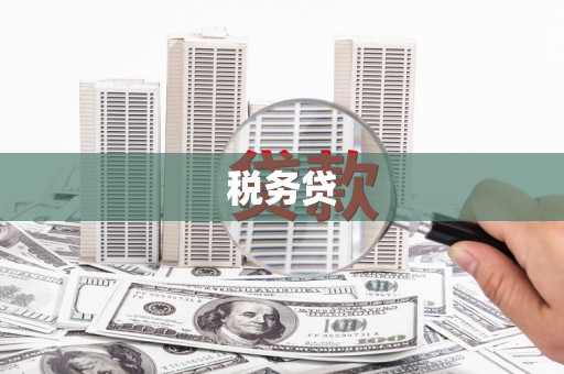 闻喜税务贷